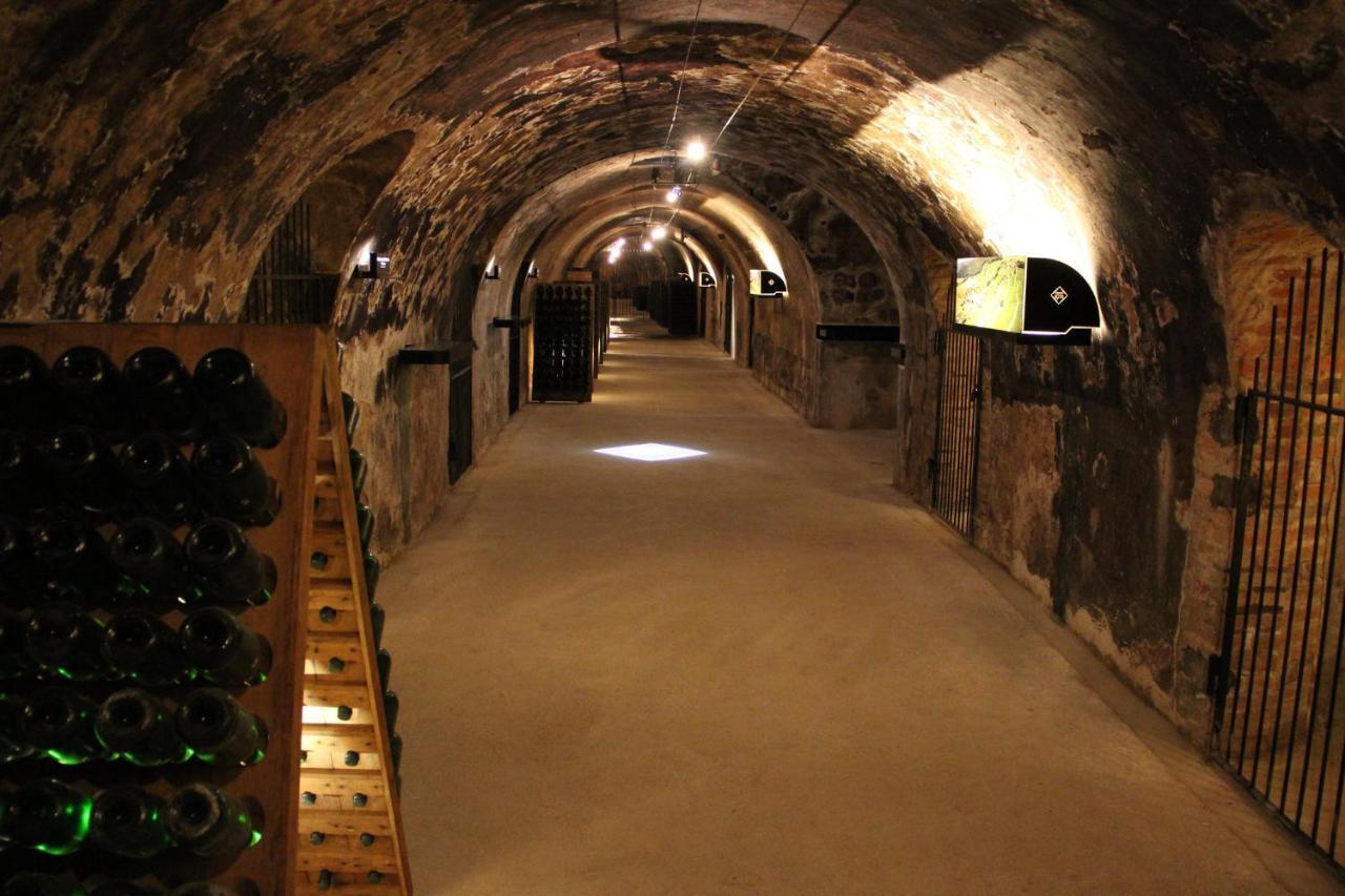 Enjoy En Champagne Maison Calme Au Milieu Du Vignoble Avec Parking Gratuit Dormans Exteriör bild
